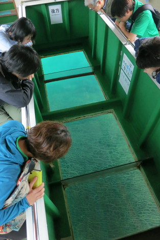 船の下には日本最大のシコロサンゴ