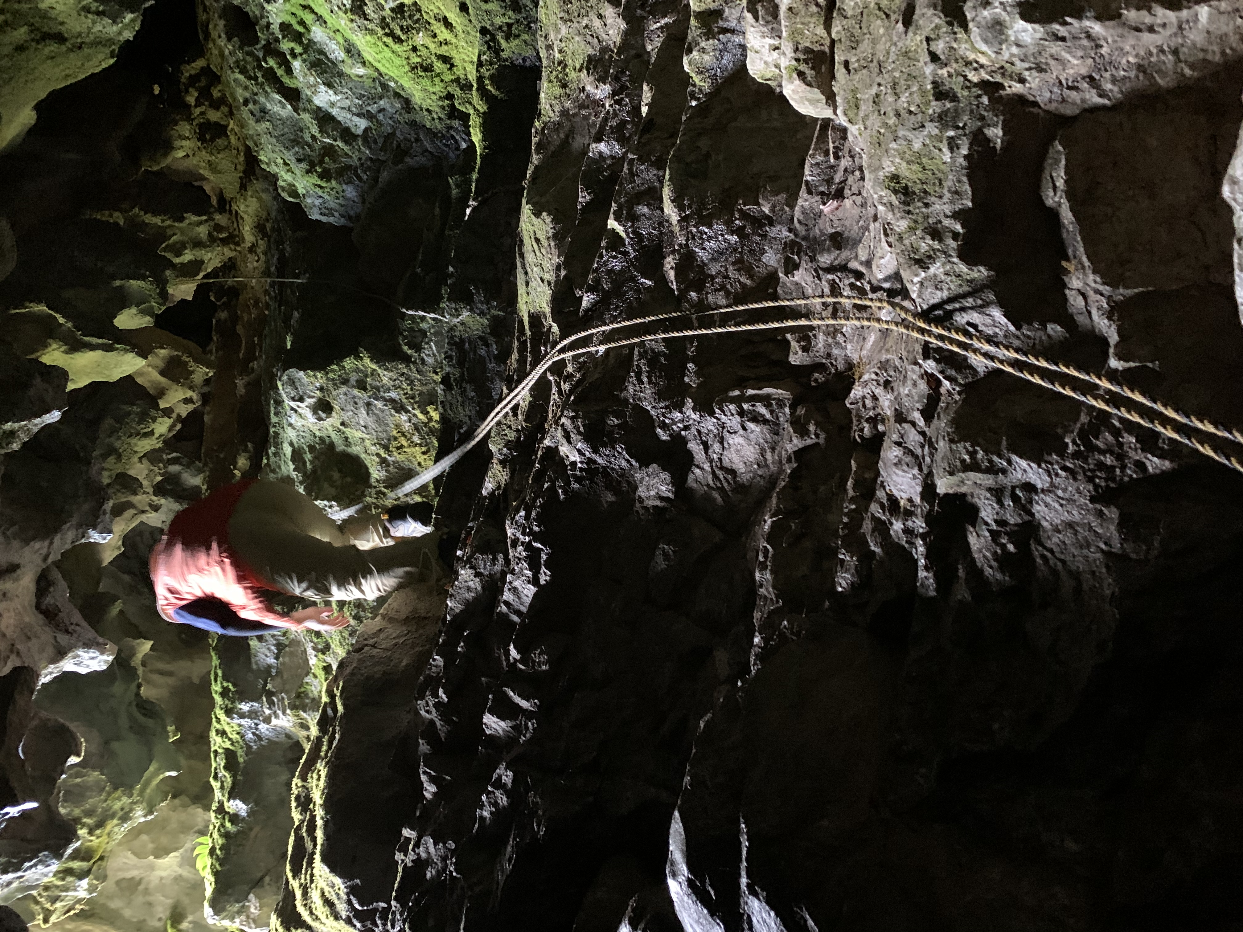 鍾乳洞の中を流れる四万十川探訪！稲葉洞