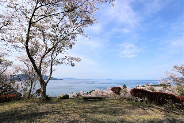 大島桜公園