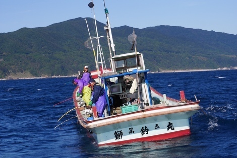 足摺岬沖の釣りブリ漁 足摺岬沖の釣りブリ漁