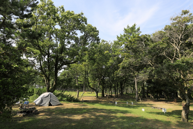 入野松原キャンプ場