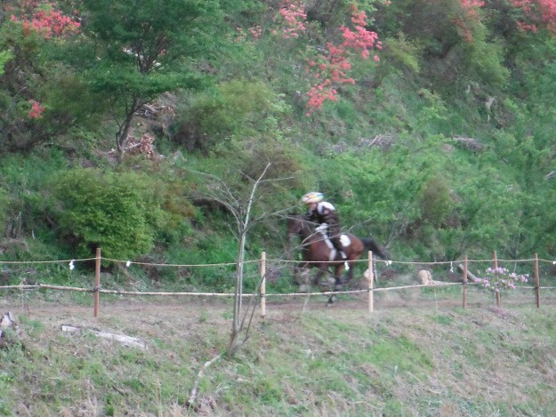 三原村の伝統文化　あげ馬