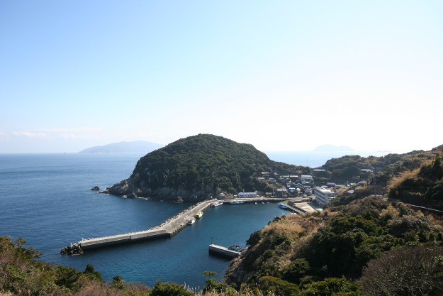 鵜来島