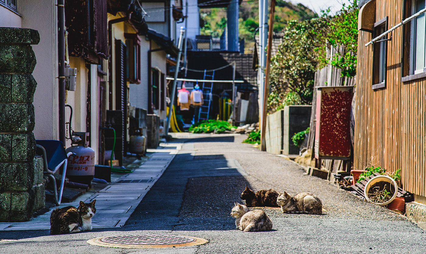 どこか懐かしい海辺の街並と美しい海